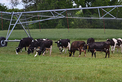 2016 Beef Unit Field Day